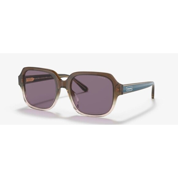 NEW Coach Sunglasses HC8335U C7989 Transparent Brown Gradient Purple Lenses - Picture 1 of 12